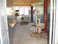 Intérieur du box commun chats